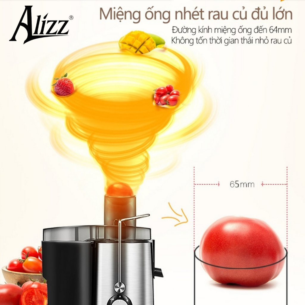Máy Ép Trái Cây 1000W 500ml ALIZZ 13602