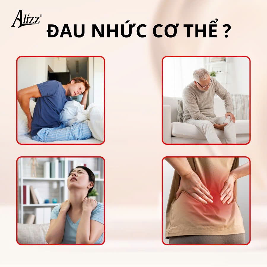 Máy massage cầm tay cá heo 6 đầu ALIZZ AL-14265(HĐ)