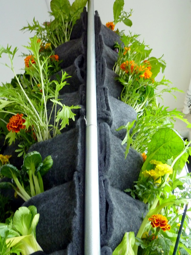 Tự trồng rau trong túi vải 21 ngăn