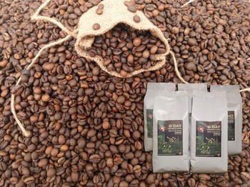  Cà phê hạt rang robusta xuất xứ Gia Lai - Loại 1Kg