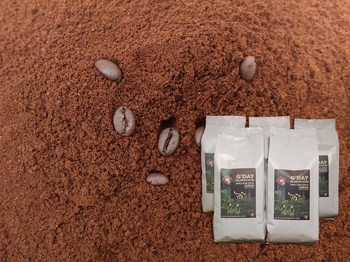 Cà phê robusta xuất xứ Gia Lai - Loại 1Kg 