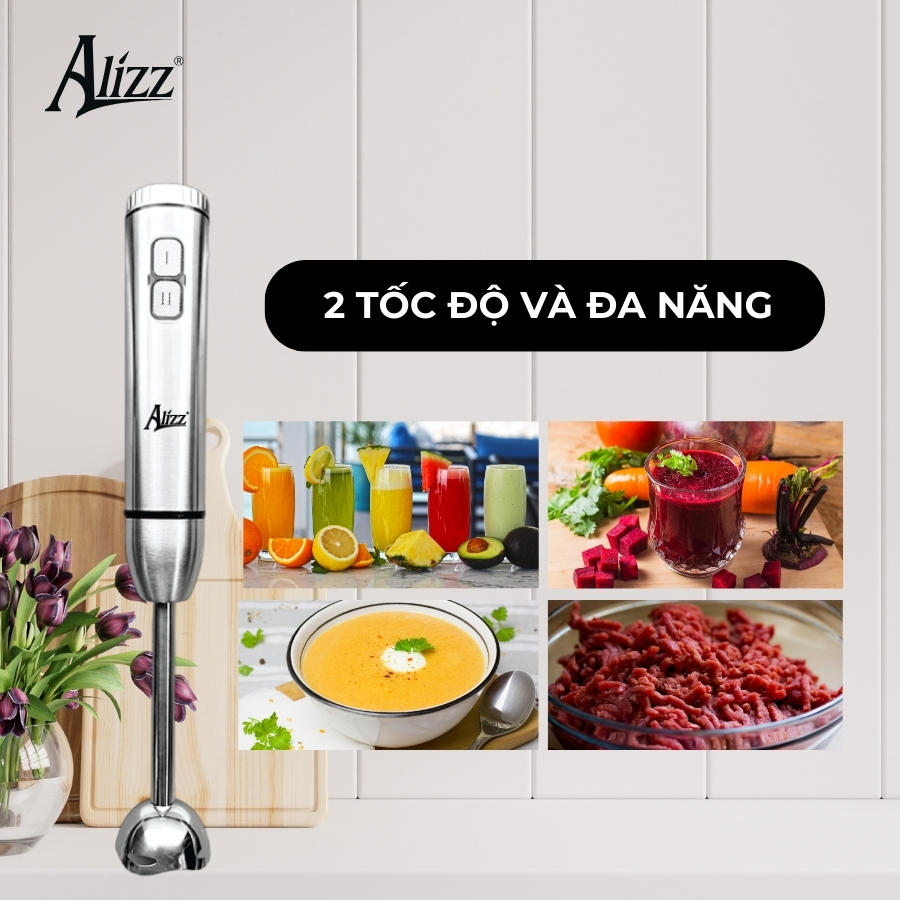 Máy Xay Sinh Tố Xay Thịt Cầm Tay Thân Inox 1000W ALIZZ AL-9001C