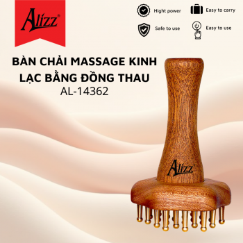 Bàn chải massage kinh lạc bằng đồng thau AL-14362