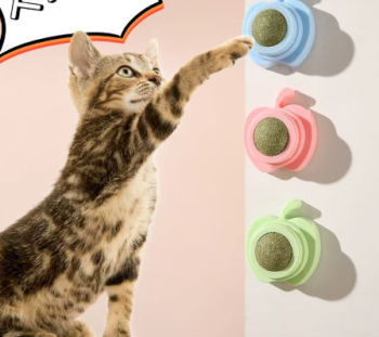 Đồ Chơi Bóng Cỏ Mèo Gắn Tường Tự Giải Trí