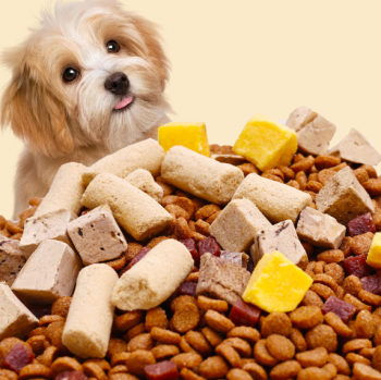 Gói 2.5KG Thức Ăn Khô Cho Chó