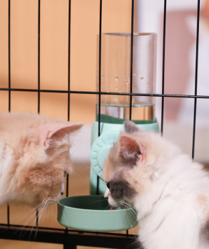 Bình Nước Treo Tự Động Cho Thú Cưng