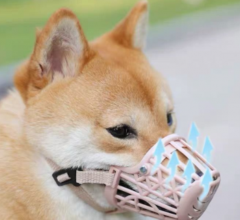 Rọ Mõm Cho Thú Cưng